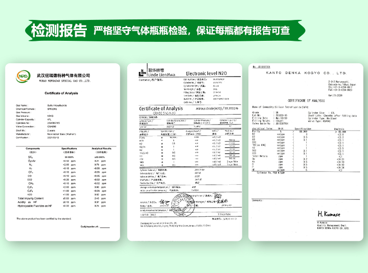 pc端詳情-電力標(biāo)準(zhǔn)氣_11